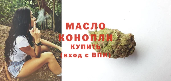 индика Белокуриха