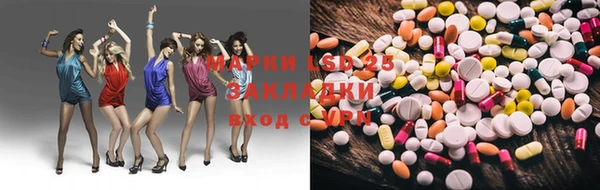 индика Белокуриха