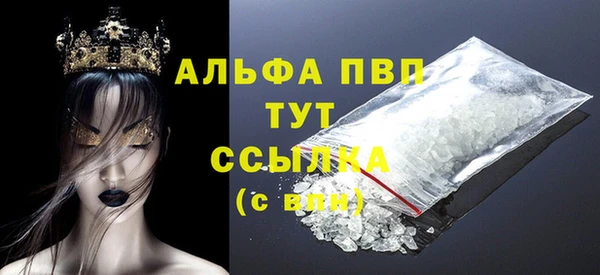 индика Белокуриха