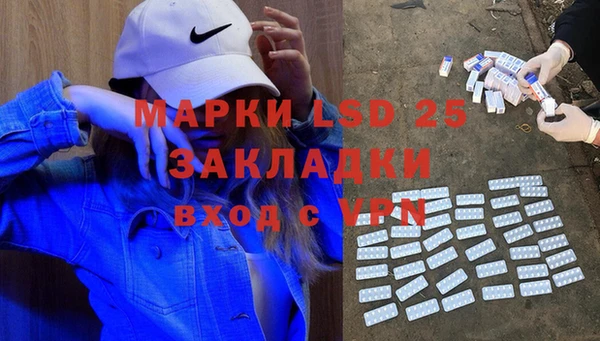 индика Белокуриха