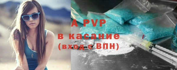 индика Белокуриха