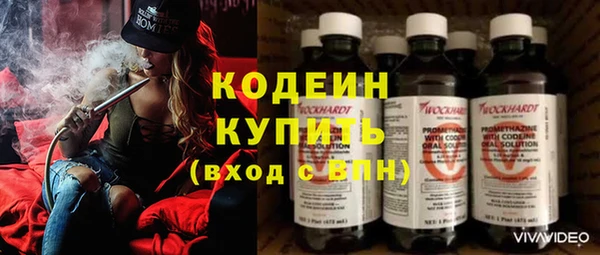 индика Белокуриха