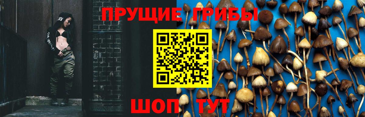 Галлюциногенные грибы Psilocybe  наркошоп  Реутов  Вход с VPN 